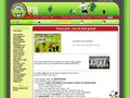 Foot-Land - jeu de foot fun et convivial !