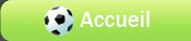 Accueil du jeu Foot-Land jeu foot en ligne manager