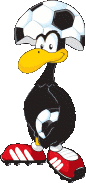 http://www.foot-land.com/image/logoFootLand.gif